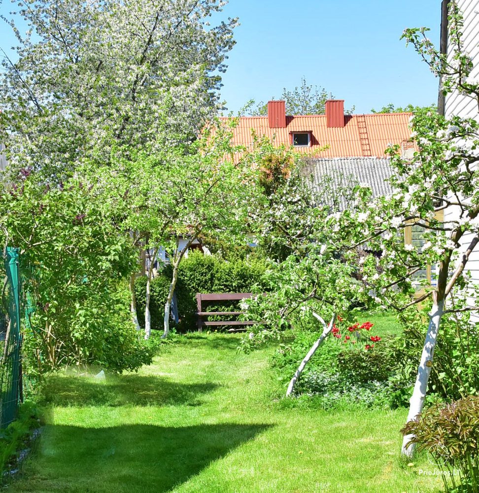 Apartment in Palanga with a terrace and separate entrance from the yard