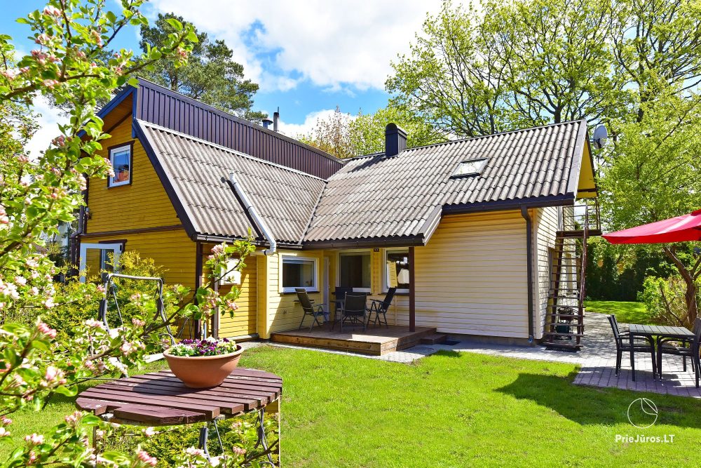 Apartment in Palanga with a terrace and separate entrance from the yard