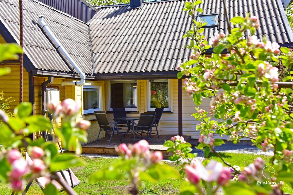Apartment in Palanga with a terrace and separate entrance from the yard