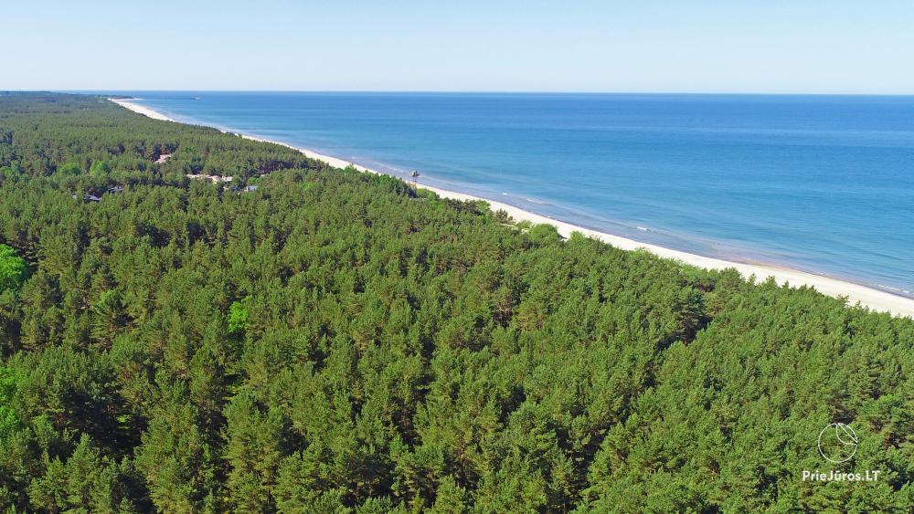 Apartment in Palanga with a terrace and separate entrance from the yard