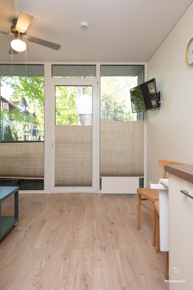 Apartment Santauta for rent in Juodkrante, Curonian Spit