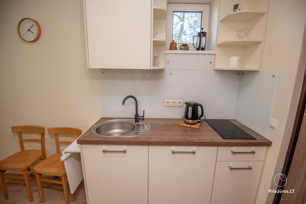 Apartment Santauta for rent in Juodkrante, Curonian Spit