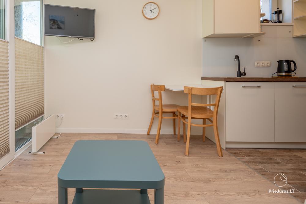 Apartment Santauta for rent in Juodkrante, Curonian Spit