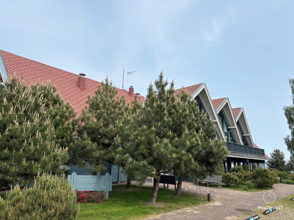 Apartment in Preila on the shore of the Curonian lagoon, lagoon view balcony