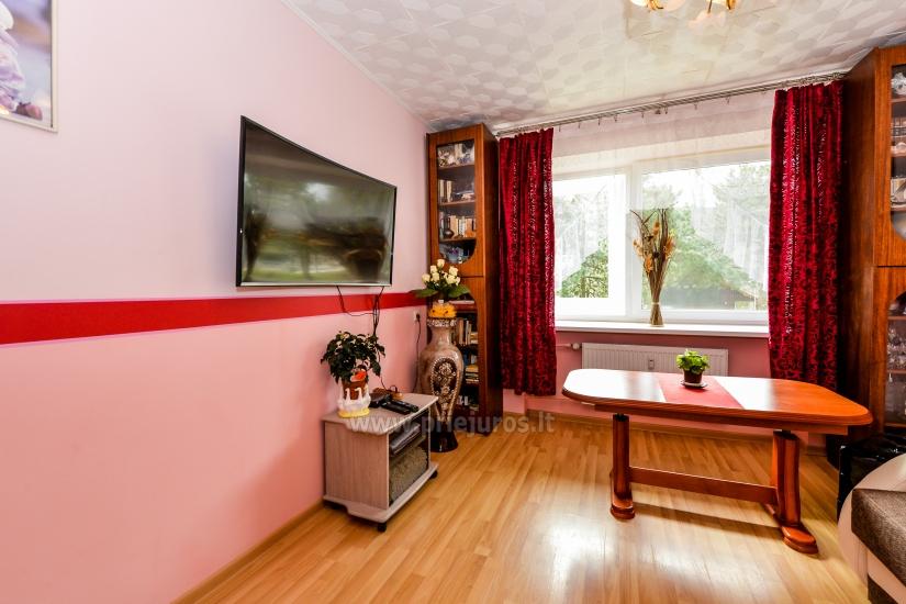 Three rooms apartment in the center of Nida, Curonian Spit, Lithuania - 1