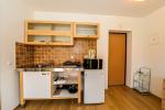 Two rooms apartment for rent in Nida