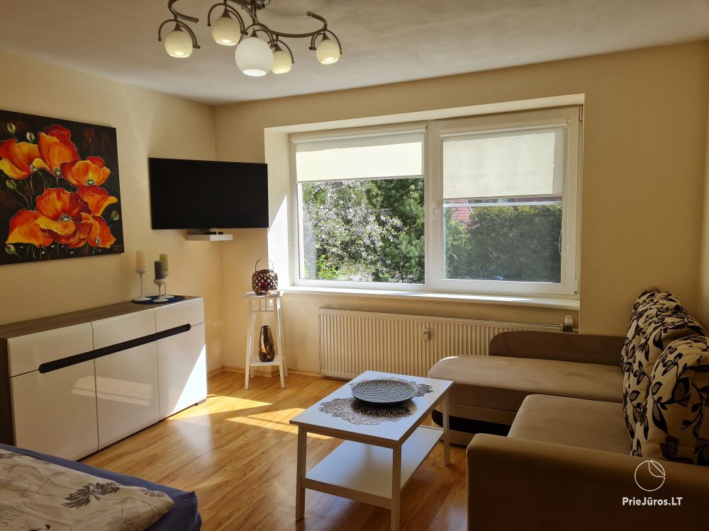Double-room Flat in Nida