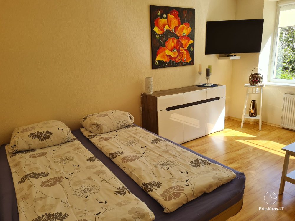 Double-room Flat in Nida
