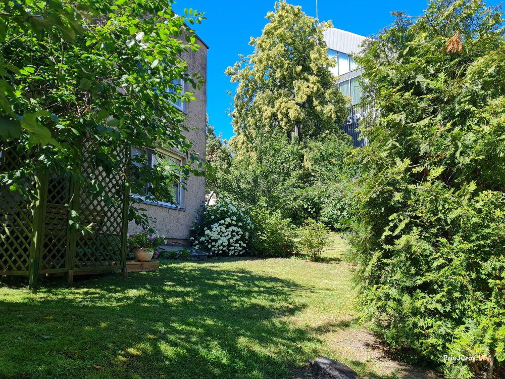 Double-room Flat in Nida