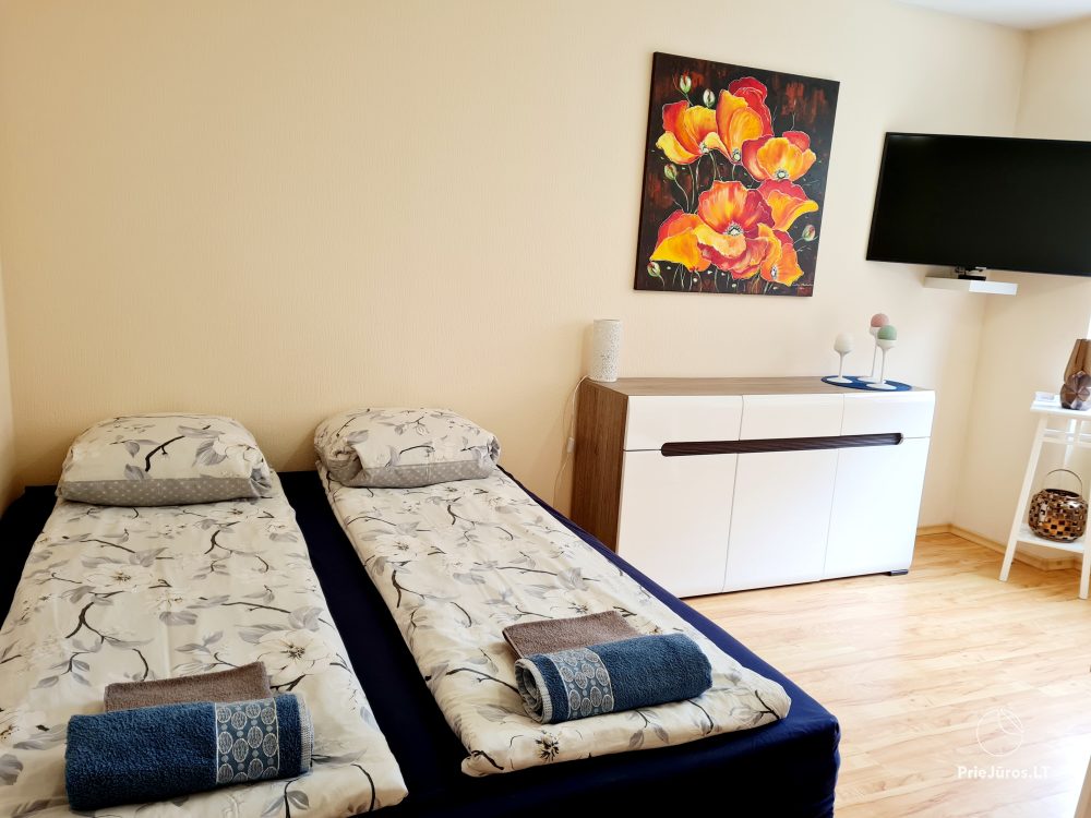Double-room Flat in Nida