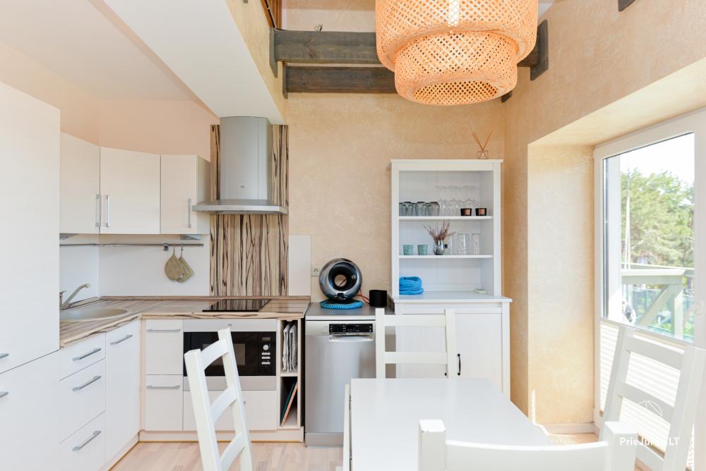 Apartment Nidos Loftas with SPA