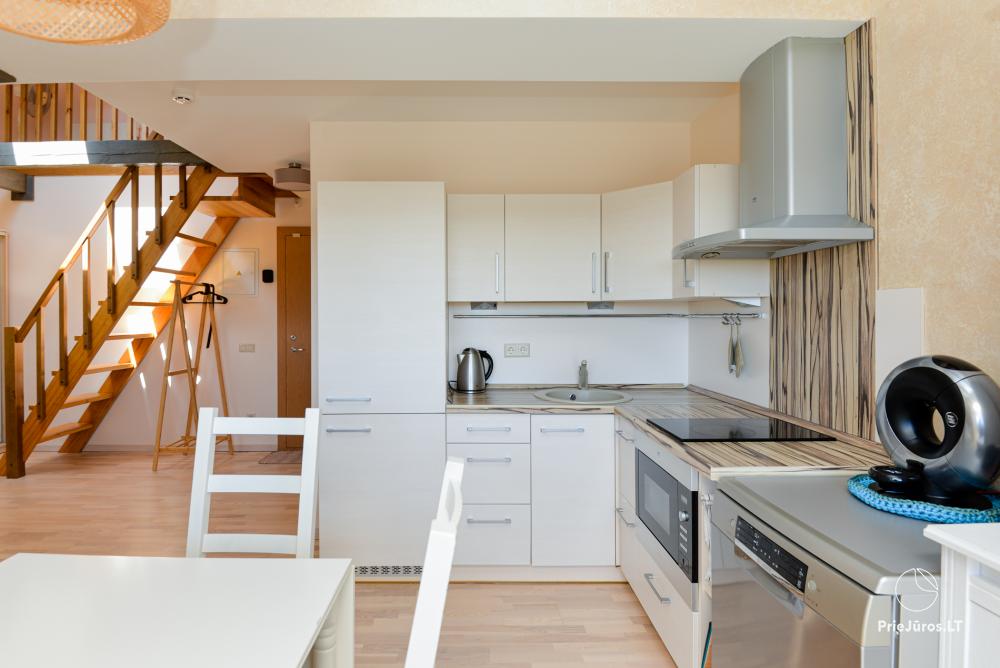 Apartment Nidos Loftas with SPA