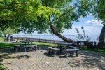 Beautiful apartment with terrace and view of Curonian lagoon in Preila - 5