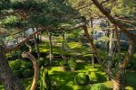 Гостиница Palanga Life Balance SPA ***** в Паланге - 2