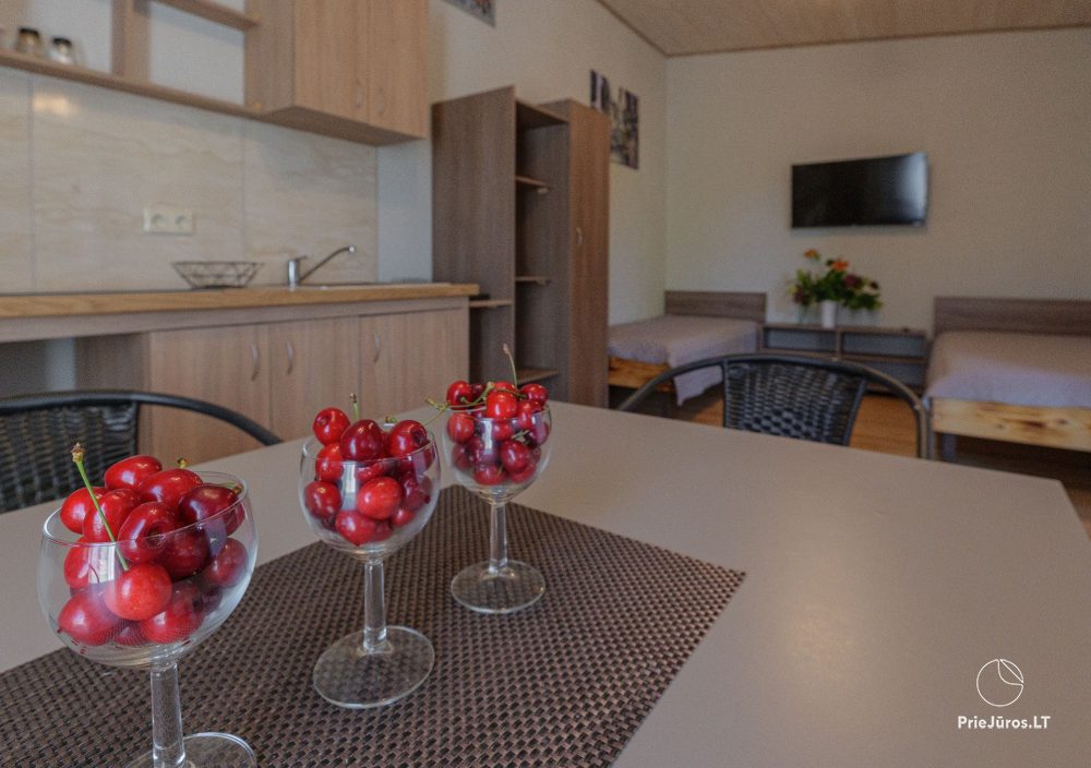 Holiday houses Pylimo slenis