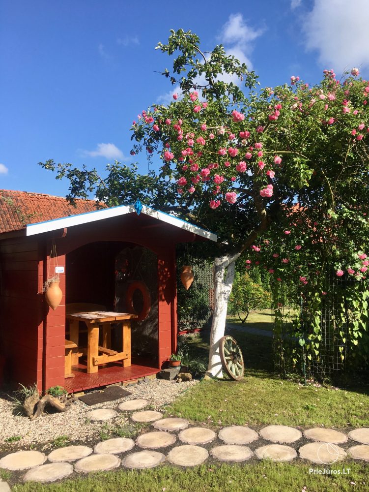 1 and 2 room apartments in Juodkrante (Curonian spit): all amenities, free parking, Wi-Fi, arbor