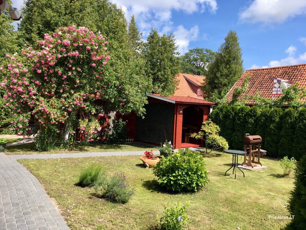 1 and 2 room apartments in Juodkrante (Curonian spit): all amenities, free parking, Wi-Fi, arbor