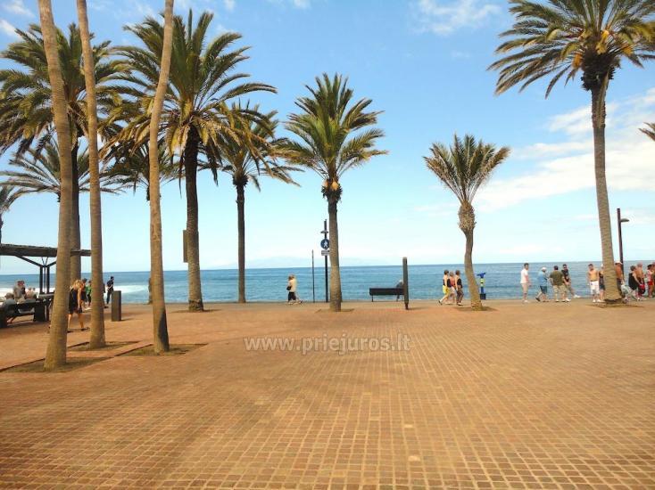 Casa Caracas holiday house with terrace in Tenerife - 1
