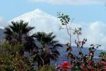 Balcon de Los Gigantes apartments in Tenerife with outdoor swimming pool - 4