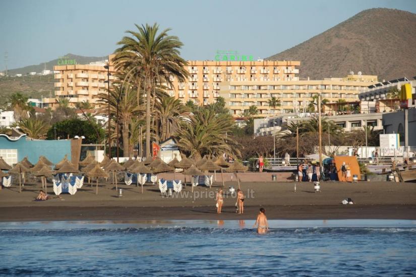 Apartments Caribe in southern Tenerife - 1