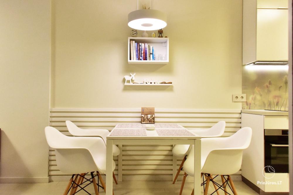 New spacious apartment Nidos Vilnelė with terrace and free parking place in Nida