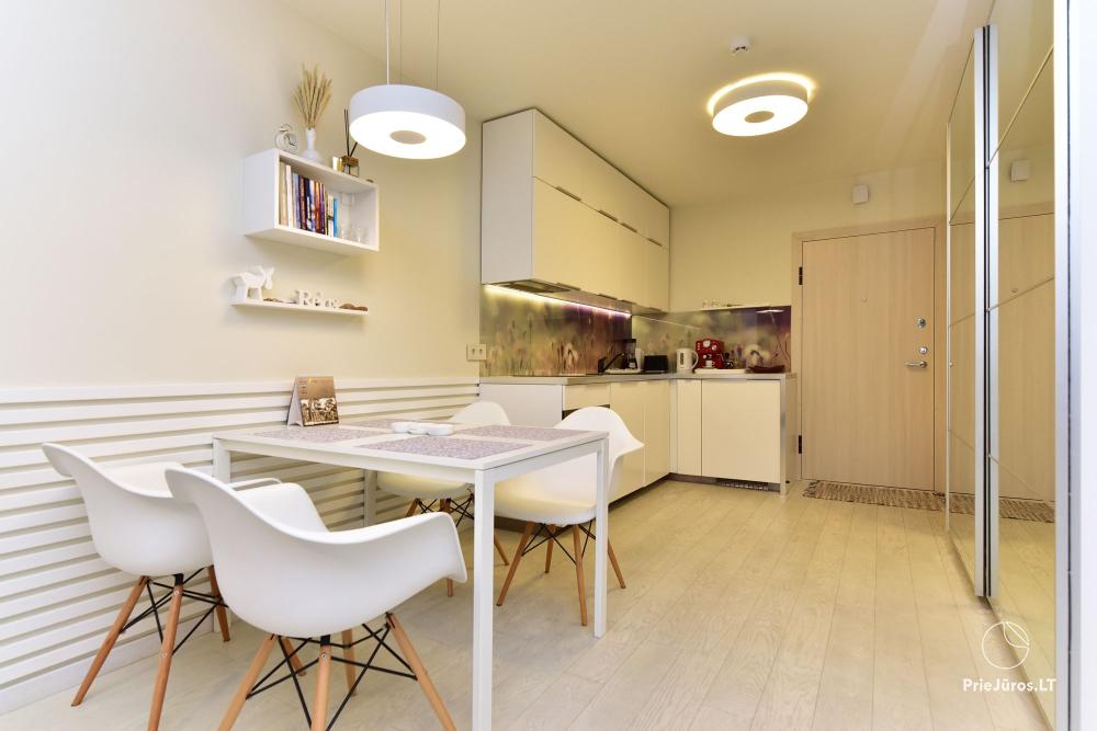 New spacious apartment Nidos Vilnelė with terrace and free parking place in Nida