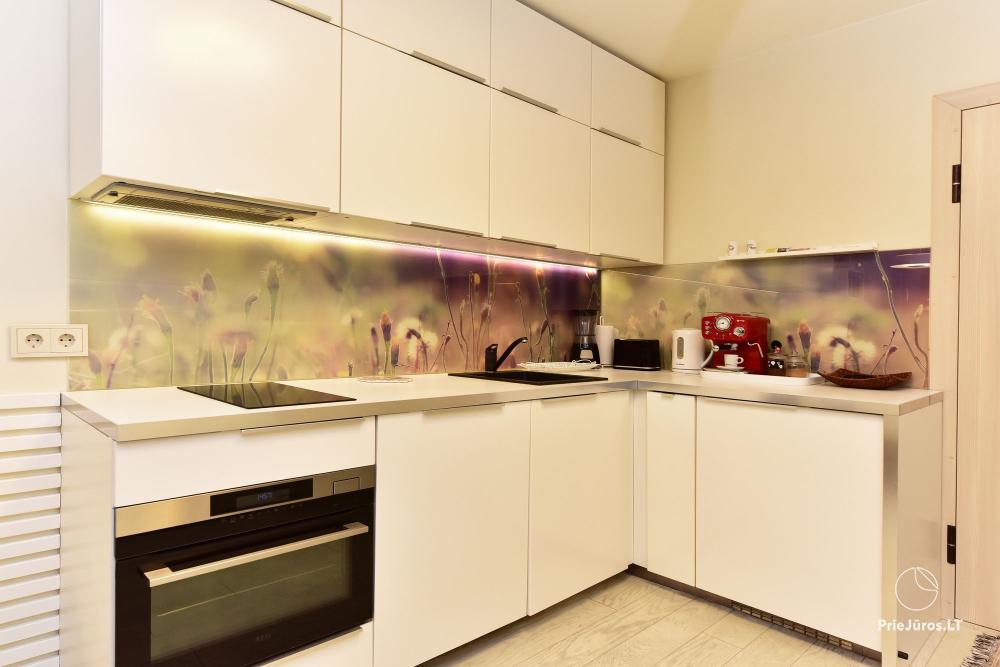 New spacious apartment Nidos Vilnelė with terrace and free parking place in Nida