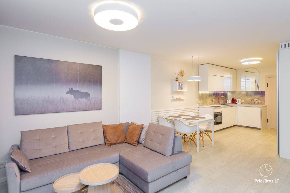 New spacious apartment Nidos Vilnelė with terrace and free parking place in Nida