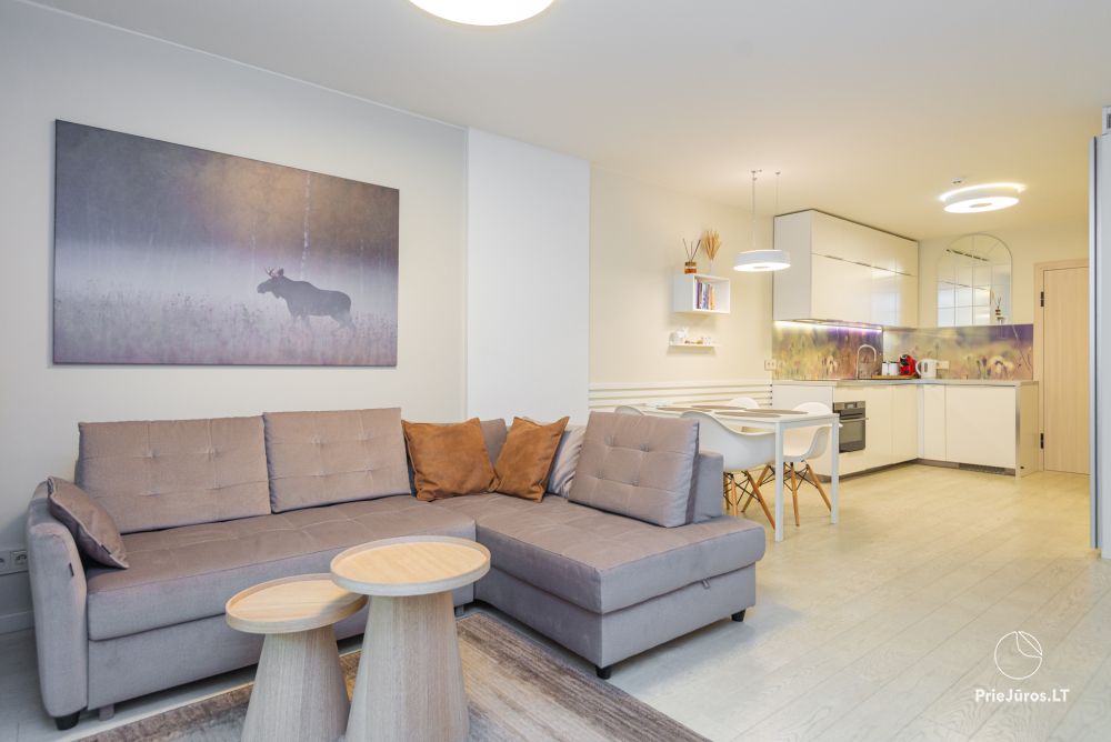 New spacious apartment Nidos Vilnelė with terrace and free parking place in Nida