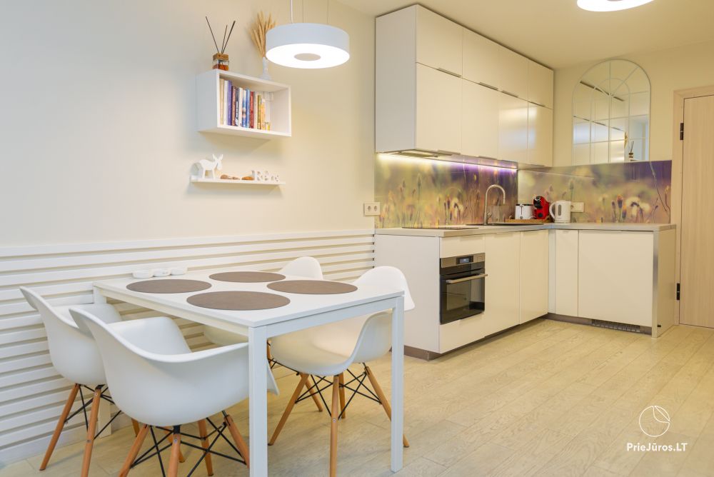 New spacious apartment Nidos Vilnelė with terrace and free parking place in Nida