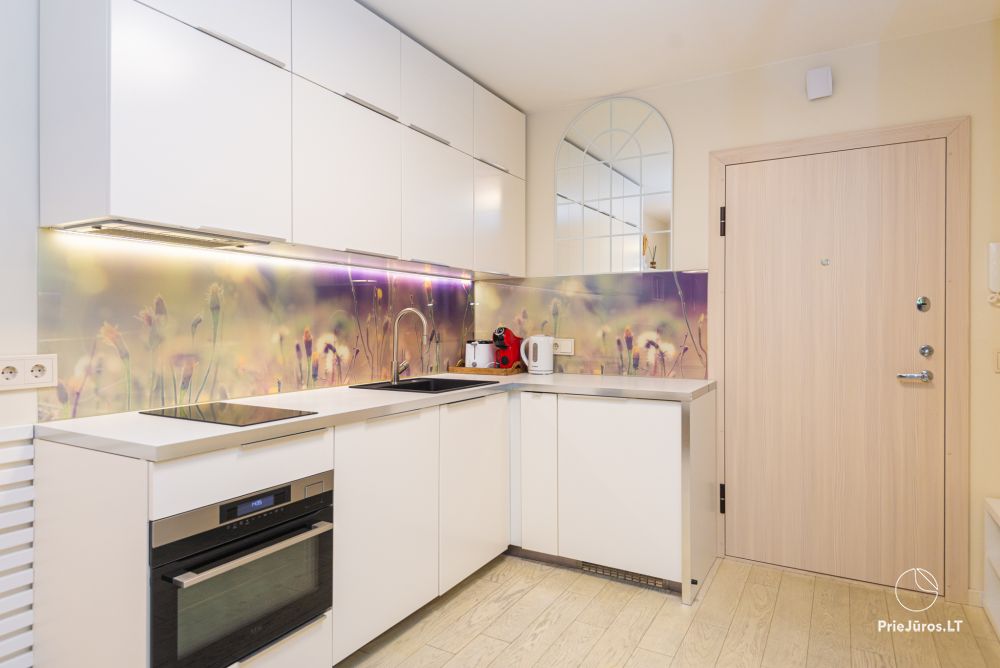 New spacious apartment Nidos Vilnelė with terrace and free parking place in Nida
