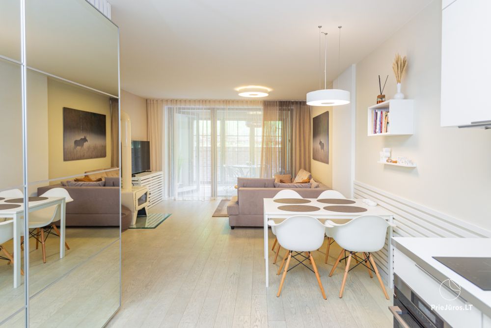 New spacious apartment Nidos Vilnelė with terrace and free parking place in Nida