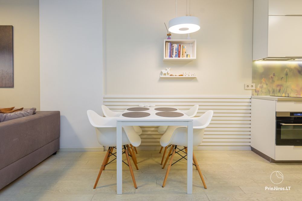 New spacious apartment Nidos Vilnelė with terrace and free parking place in Nida
