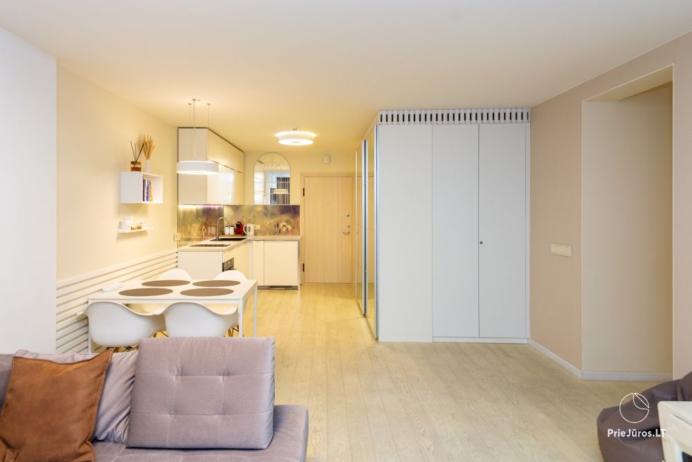 New spacious apartment Nidos Vilnelė with terrace and free parking place in Nida