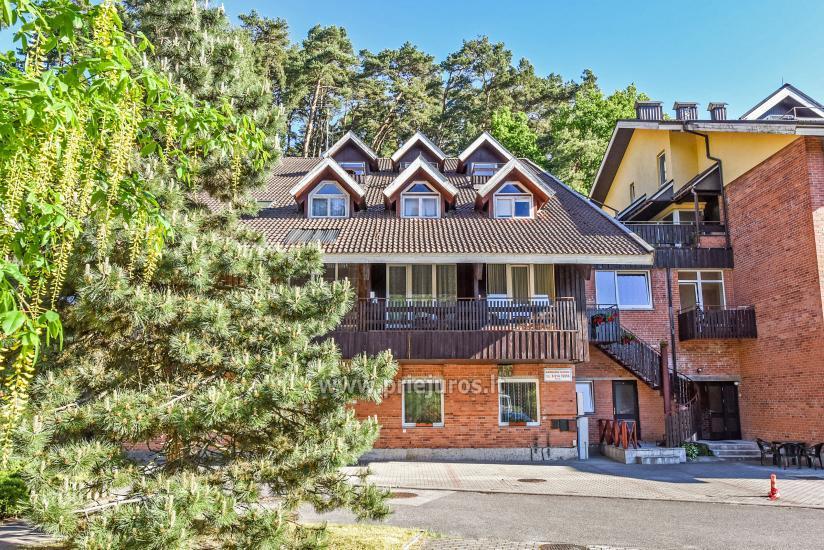 Rooms and flats for rent in Juodkrante - 1