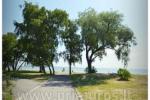 Cozy apartment in Preila with terraces near Curonian Lagoon - 4