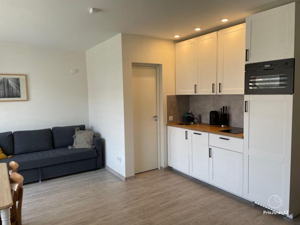 Two rooms apartment for rent in the center of Nida, in Curonian Spit