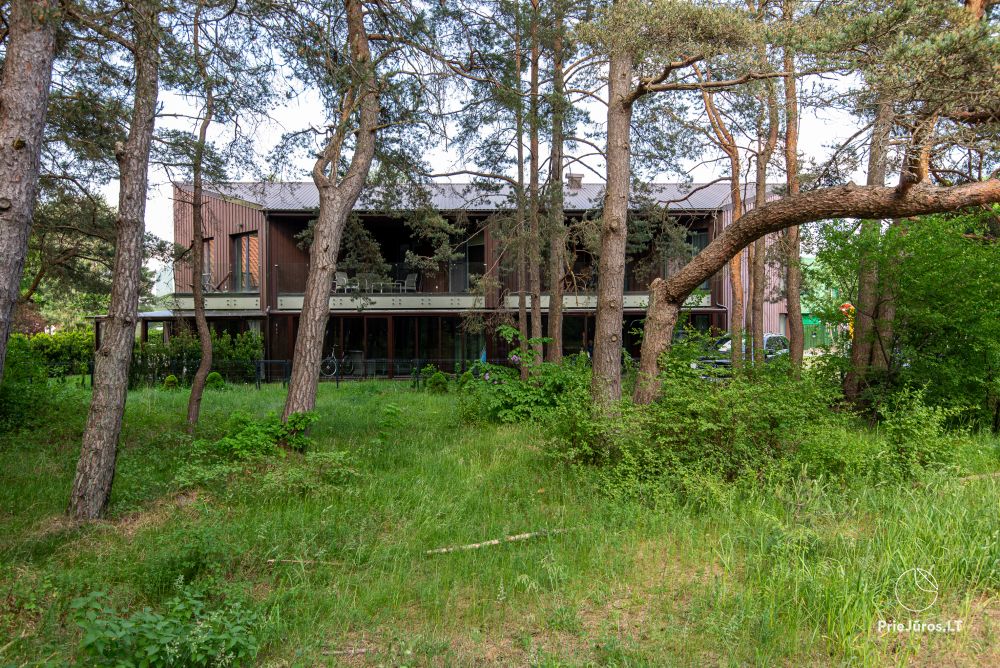 Apartments in Kunigiškiai. Terrace with a view of a pine forest, 200 m from the sea