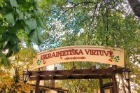 Coffee - bar in Palanga "Ukrainian cuisine"