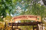 Coffee - bar in Palanga "Ukrainian cuisine"