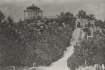 Ежегодный праздник в Юодкранте «Juodkrantės kurorto dienos». - 5