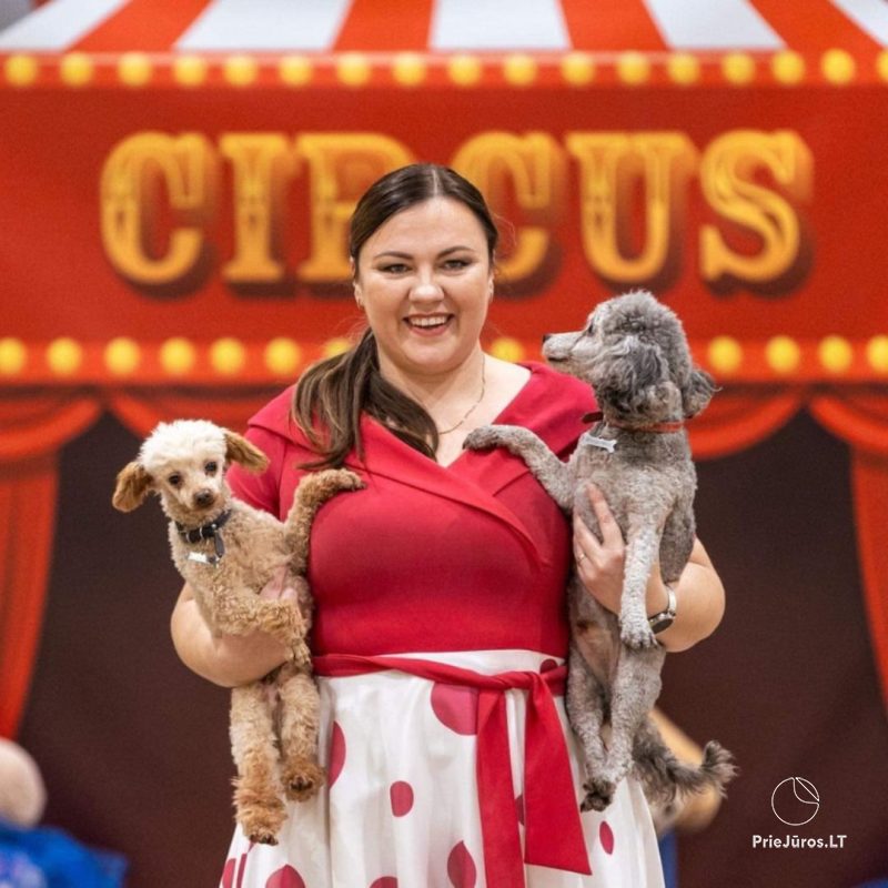 Family evening in Palanga will be filled with circus adventures and children's laughter