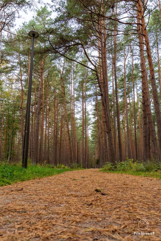 Melno takas educational and exploratory trail in Palanga