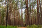 Melno takas educational and exploratory trail in Palanga