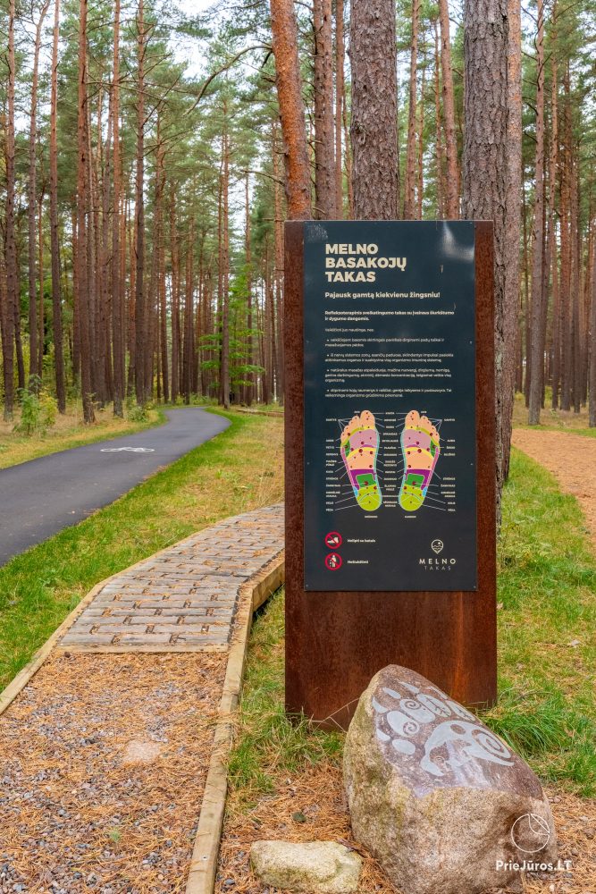 Melno takas educational and exploratory trail in Palanga