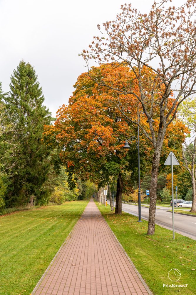 Melno takas educational and exploratory trail in Palanga