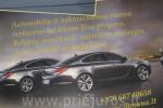 Passenger transportation services, car rental