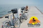 Bicycle rental and trasporting in Klaipeda, Juodkrante. Nida