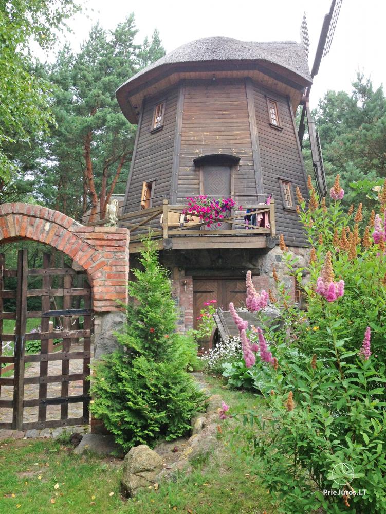 Banquet-hall, Bath-house, Swimming-pool in a Countryside Farmstead "Joldija"