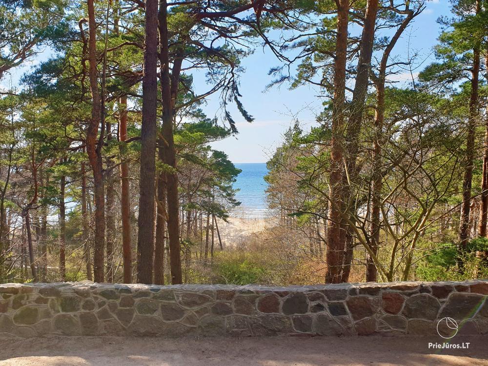 Birutė Hill in Palanga